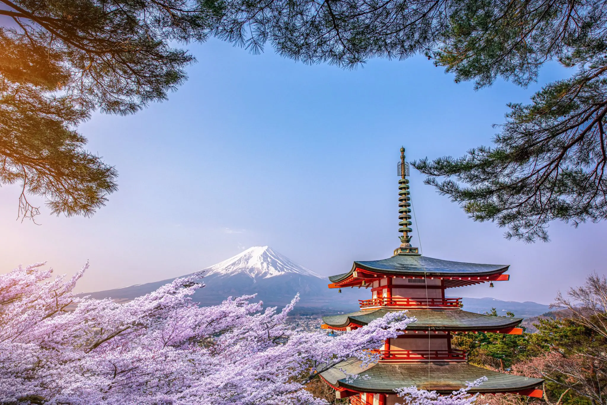 東京五日經典遊